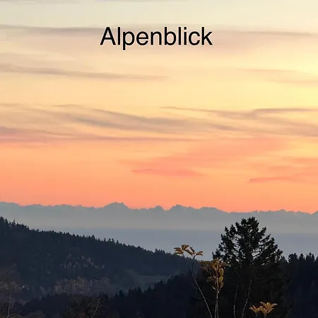 Lejlighed Schoenblick Inklusive Hallenbad, Sauna, Aussenpool & Fitnessstudio, Familienfreundlich Ausgestattet *