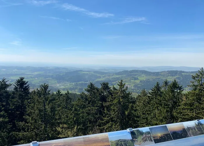 Schoenblick Inklusive Hallenbad, Sauna, Aussenpool & Fitnessstudio, Familienfreundlich Ausgestattet Sankt Englmar