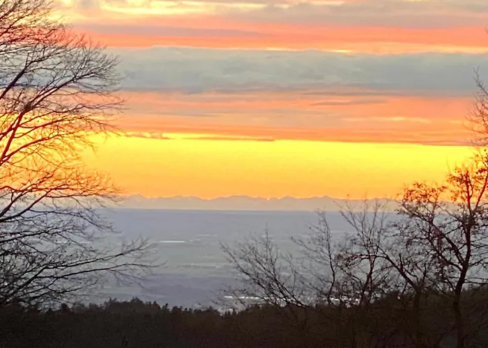 Lejlighed Schoenblick Inklusive Hallenbad, Sauna, Aussenpool & Fitnessstudio, Familienfreundlich Ausgestattet Sankt Englmar